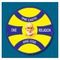 Sahodaran Ayyappan Smaraka S.N.D.P. Yogam College Konni logo
